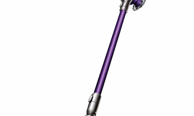 Dyson V6 Animal Cordless Stick Vacuum Review